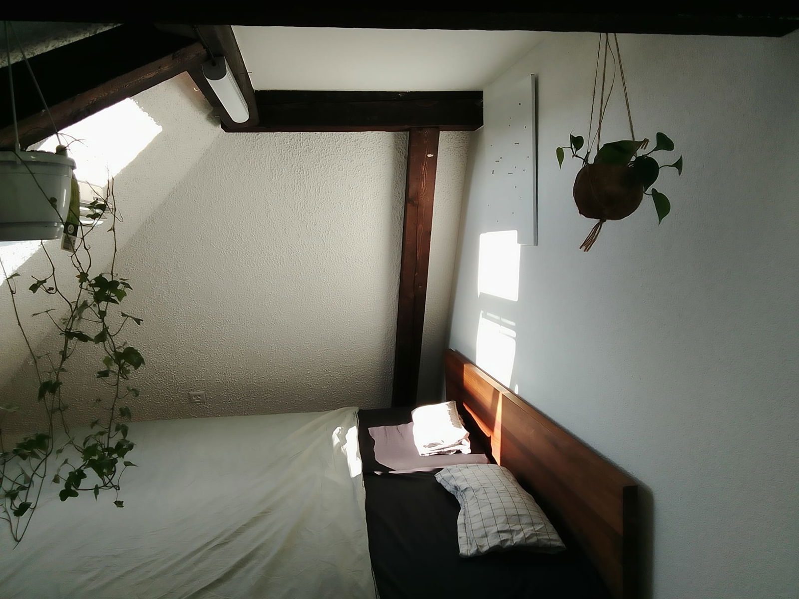 Chambre Chez L'habitant Binningen 604614