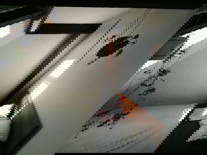 Hospedagem Em Casa De Família Binningen 604614-1