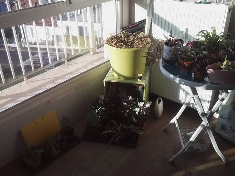 Chambre Chez L'habitant Le Havre 644446-3