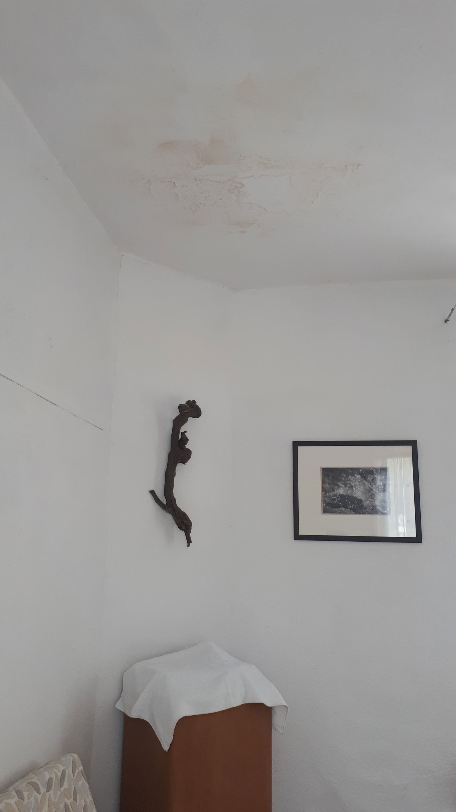 Oberoende Studio Monthey 484880
