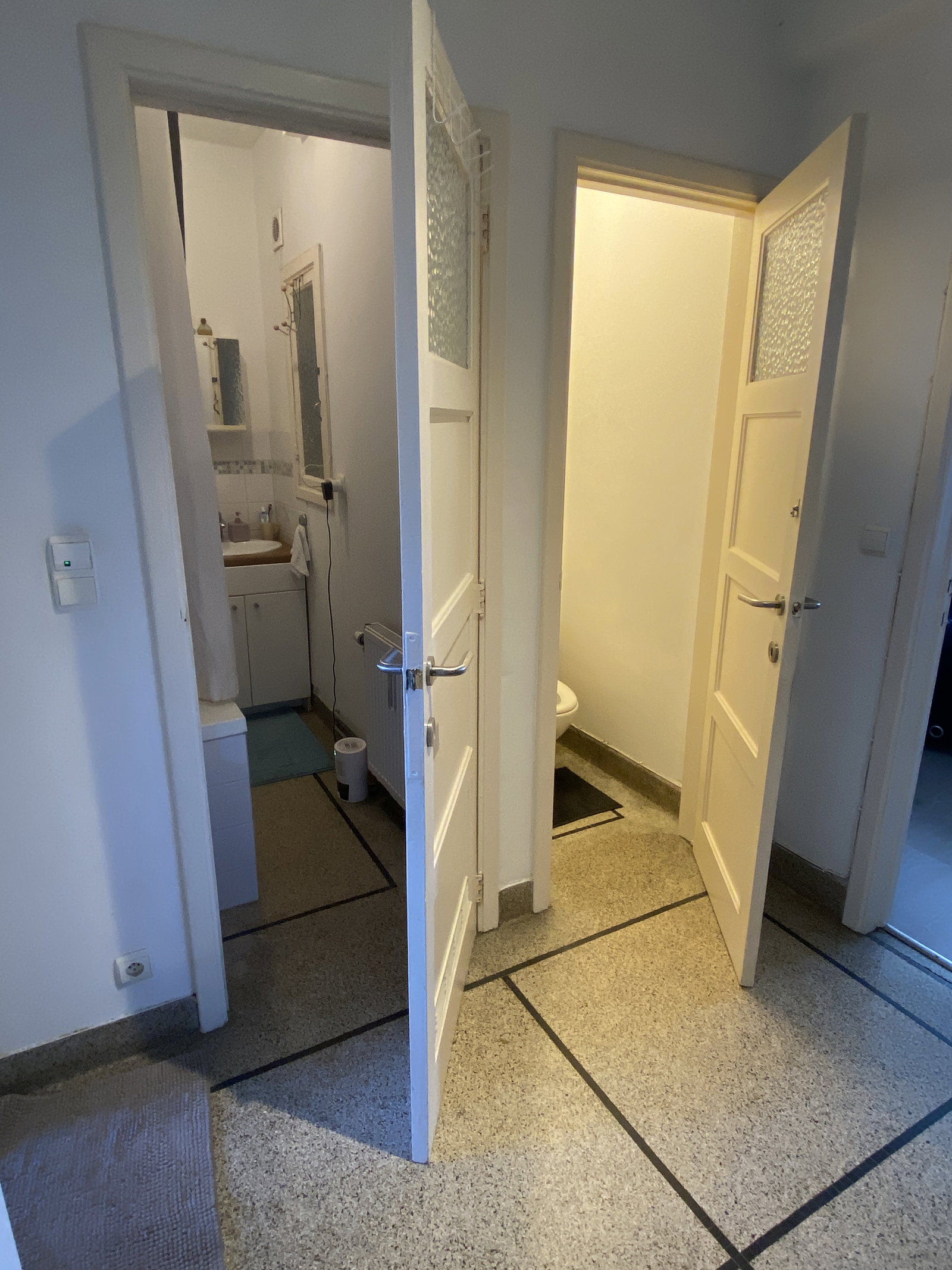 Colocation Forest 649097