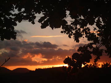 Chambre D'hôte Saint-Léonard 71389-9