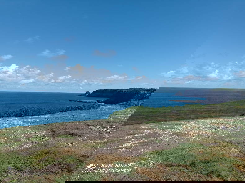 Chambre Chez L'habitant Anse-Bertrand 353309-3