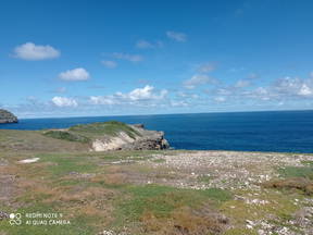 Petit coin de Paradis