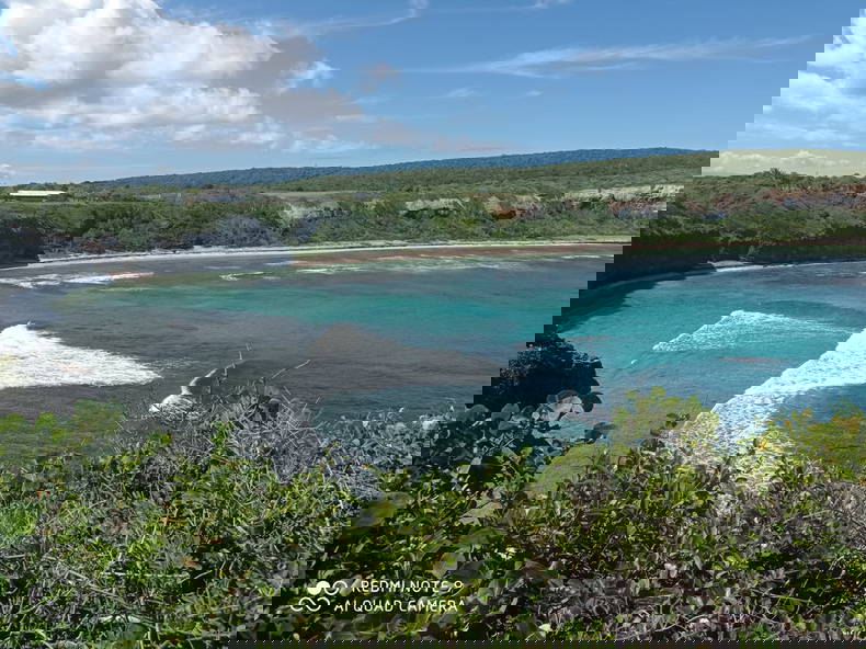 Chambre Chez L'habitant Anse-Bertrand 353309-2