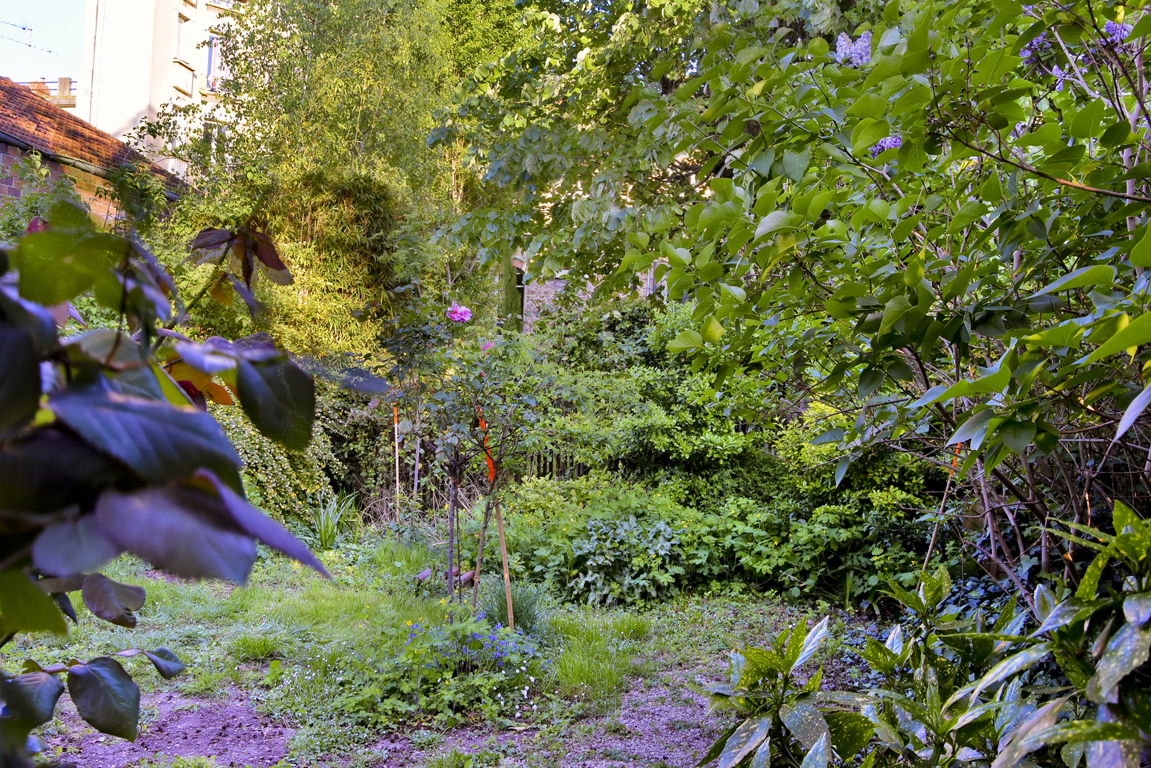 Colocation Vitry-sur-Seine 167561