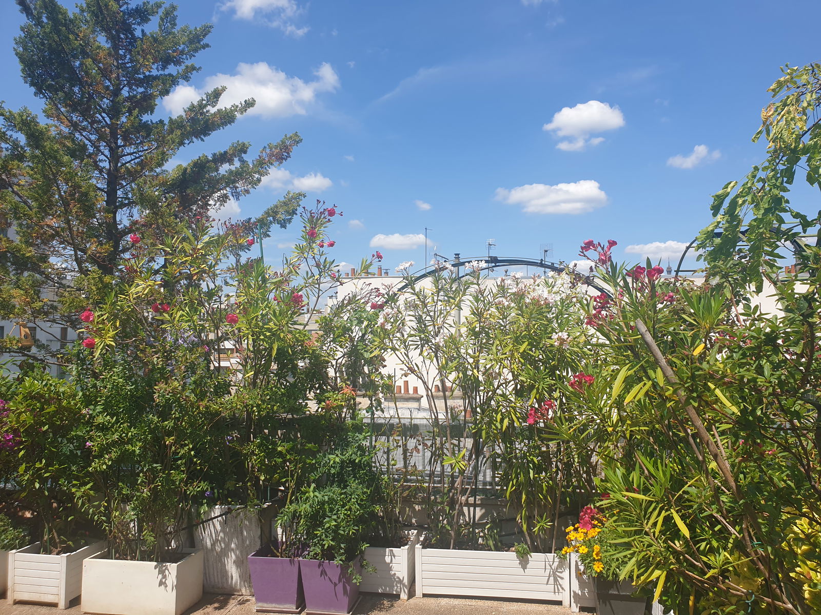 Hemvistelse Paris 253403