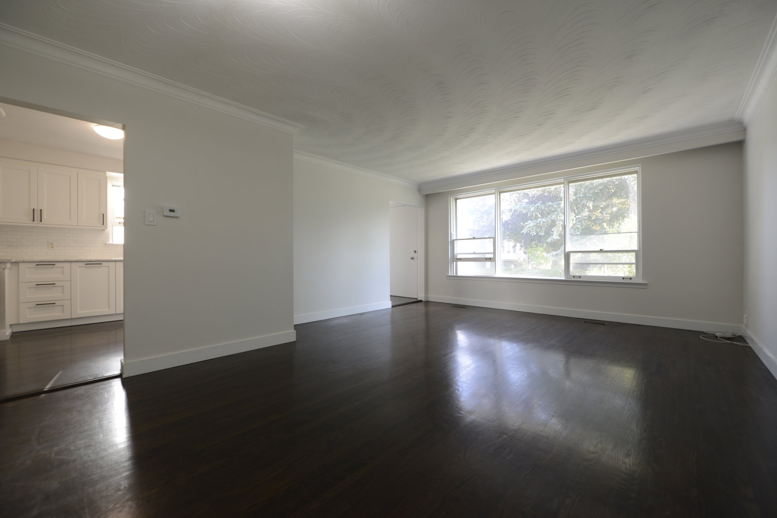 Coliving Toronto 629254