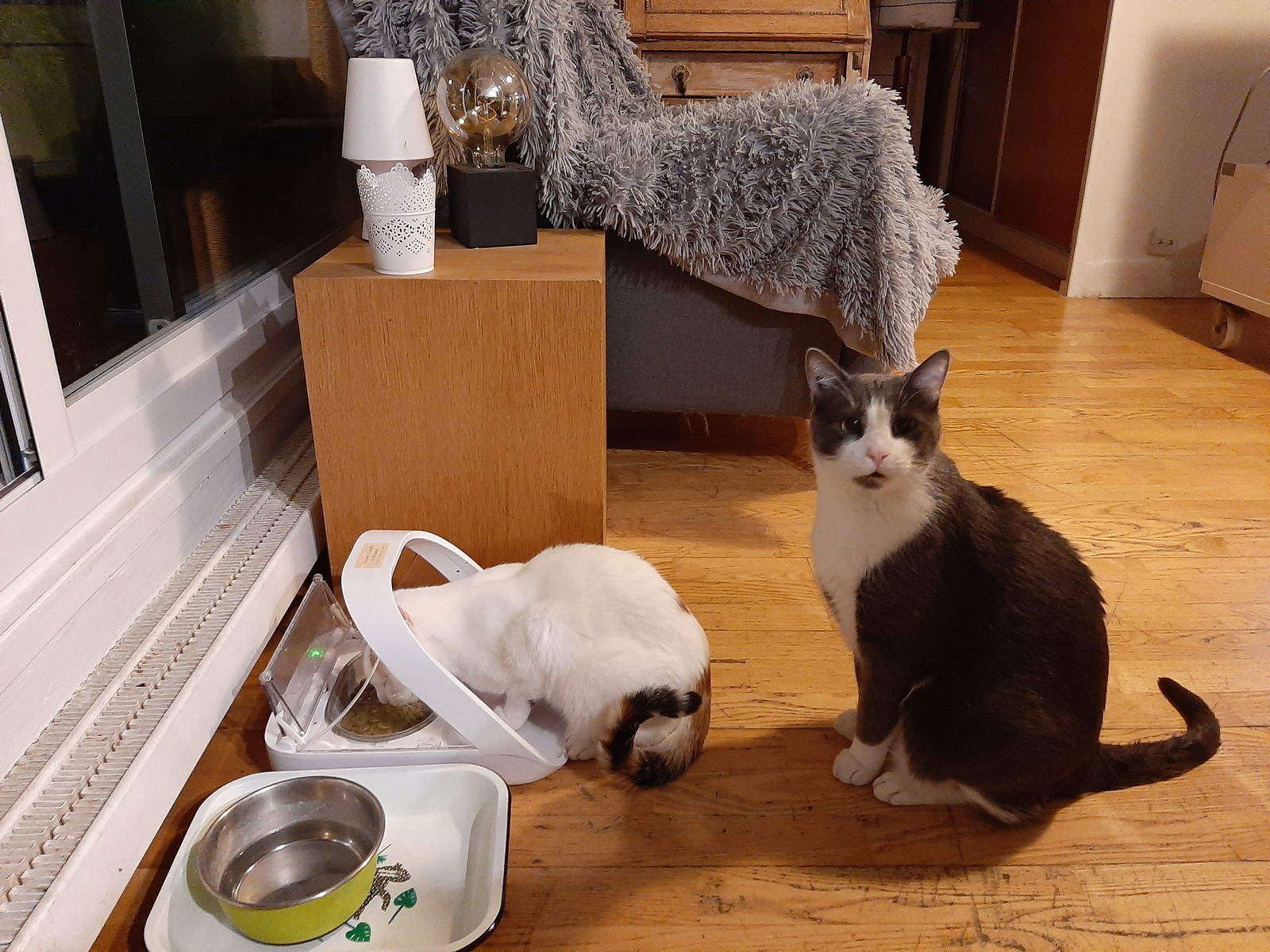 Hemvistelse Paris 196990