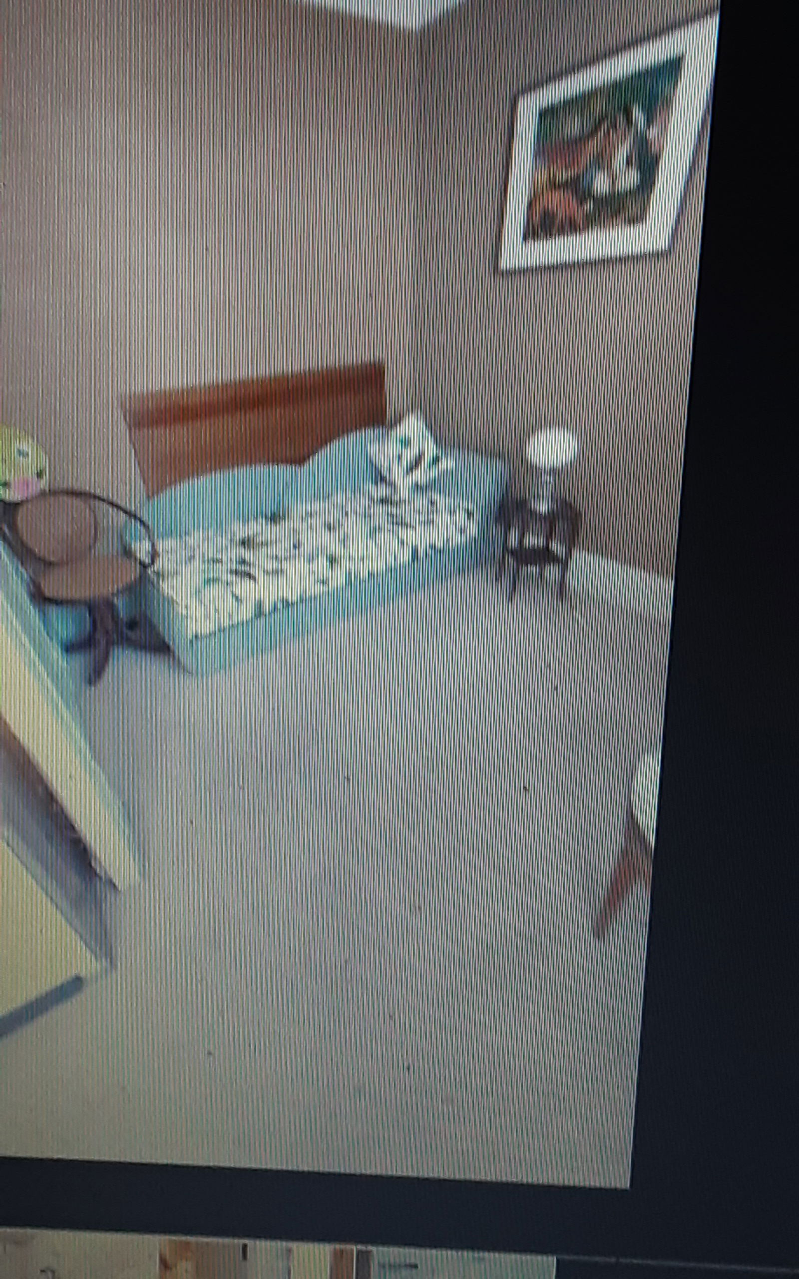 Colocatie Paris 289827