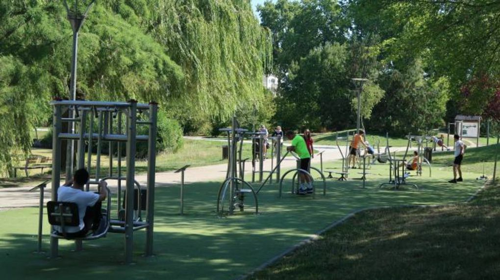 Uafhængigt Studie Tours 257021