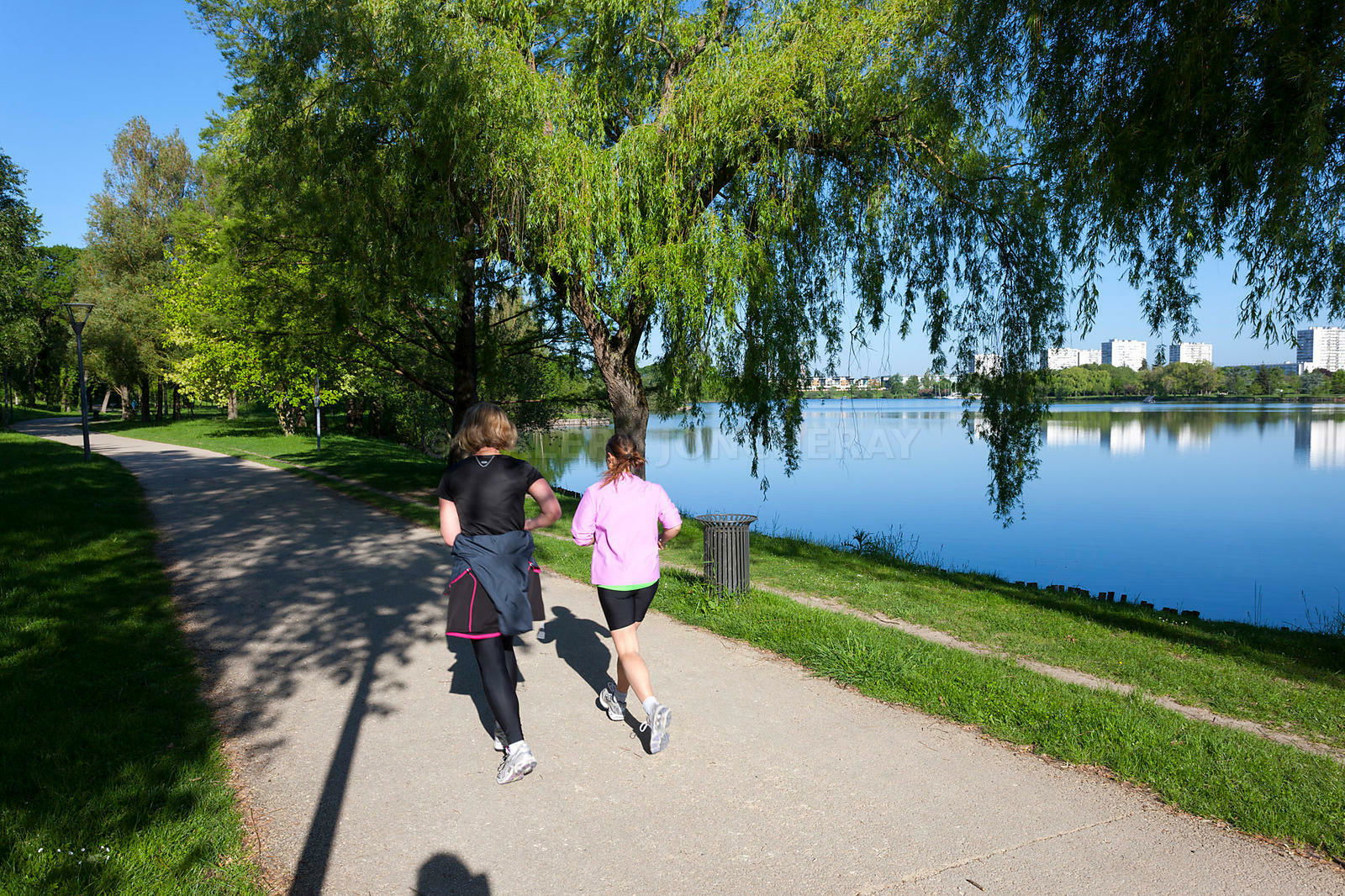 Uafhængigt Studie Tours 257021