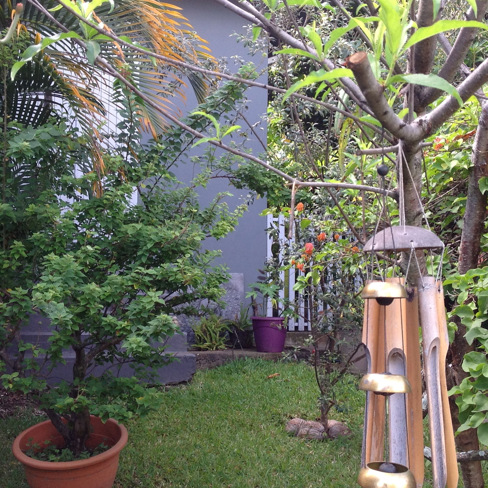 Tutta La Casa Saint-Paul 137301