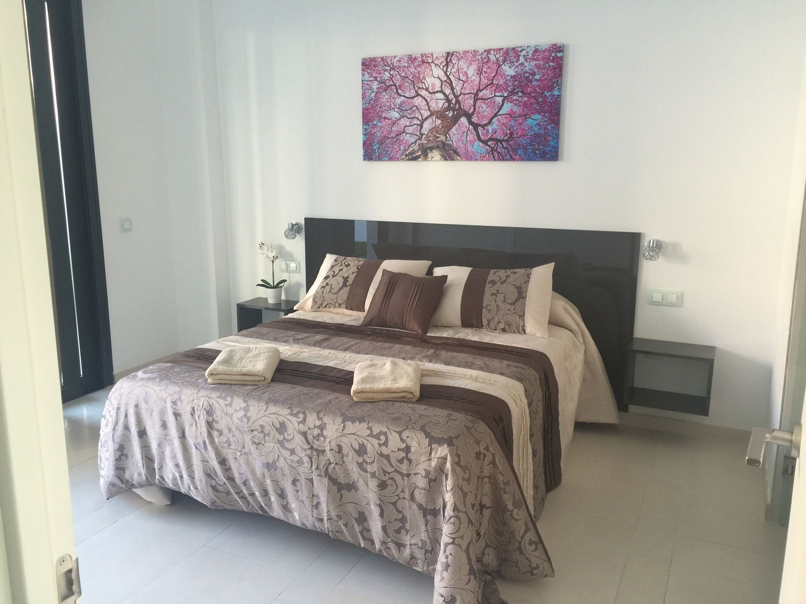 Estudio Independiente Palm-Mar 135260