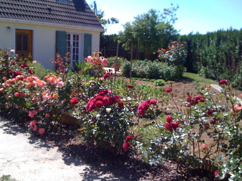 Homestay Bû 112698-2