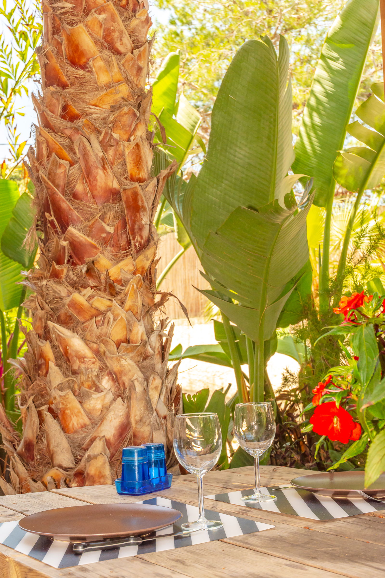 Studio Indépendant Hyères 217166