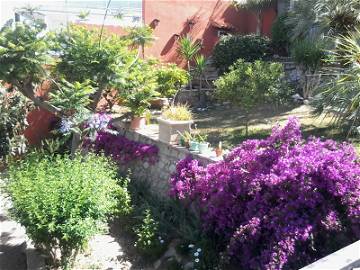 Logement Entier Valence 163756-8