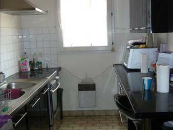 Kolokasie Paris 116041-3