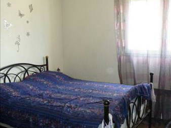 Kolokasie Paris 116041-4