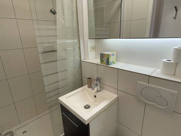 Logement entier à louer à Lyon - photo 9 : salle de bain-9