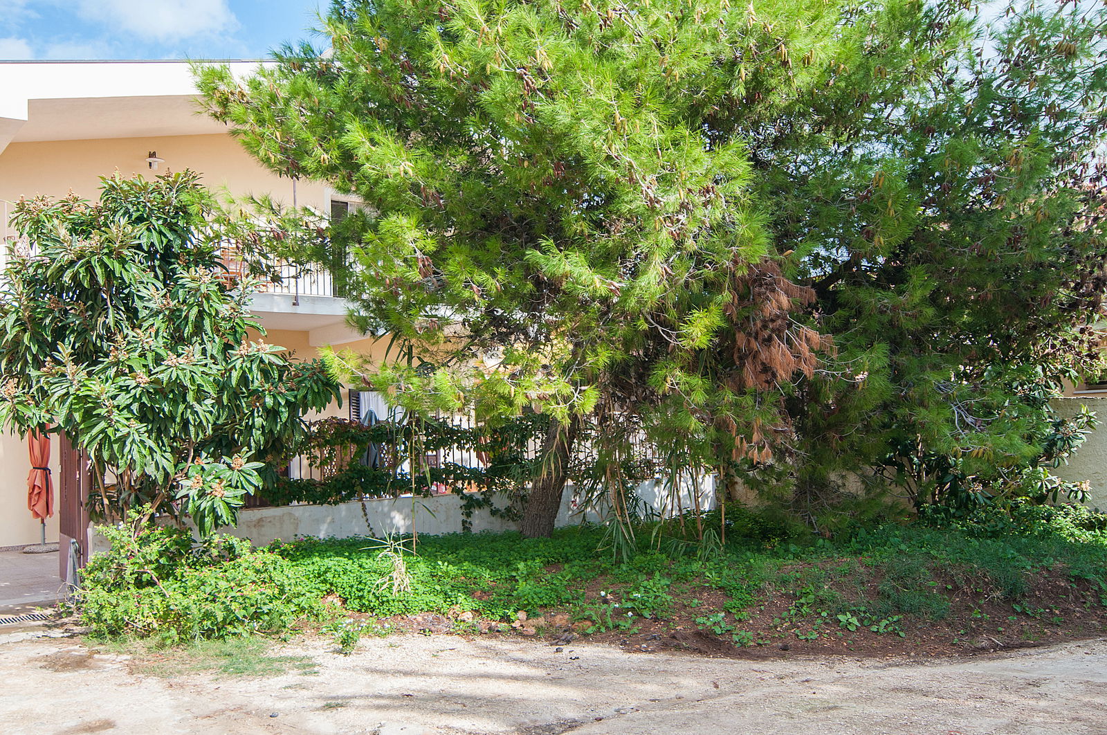 Logement Entier Avola 123728