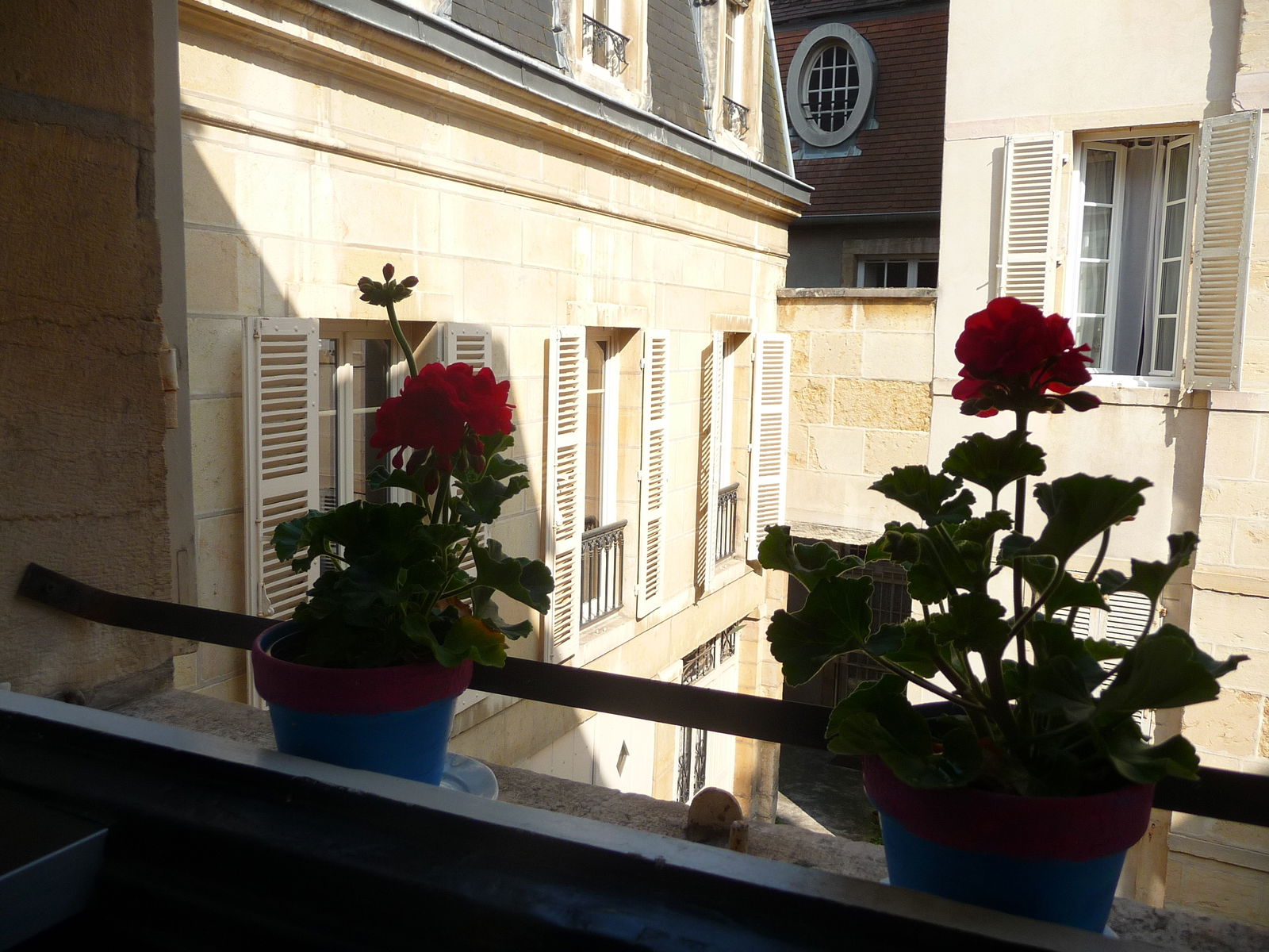 Onafhankelijke Studio Dijon 6069