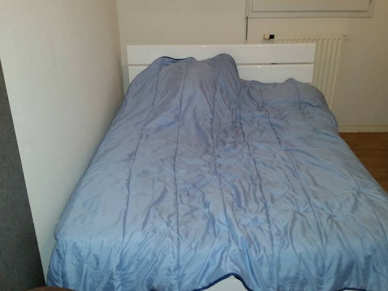 Chambre Chez L'habitant Chavagne 129259-1