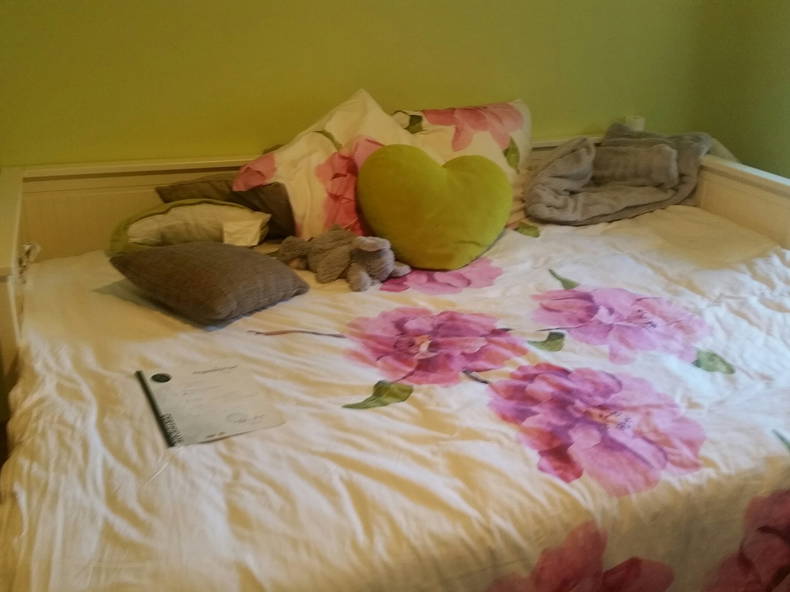 Homestay Plan-les-Ouates 153021-1