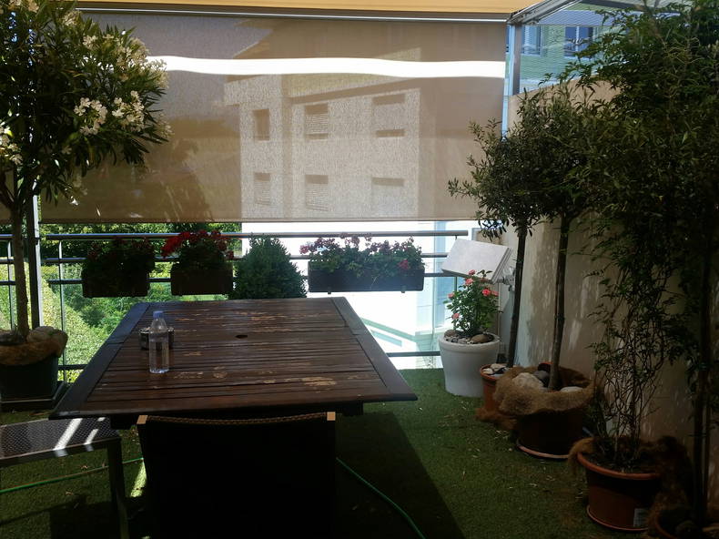 Homestay Plan-les-Ouates 153021-5