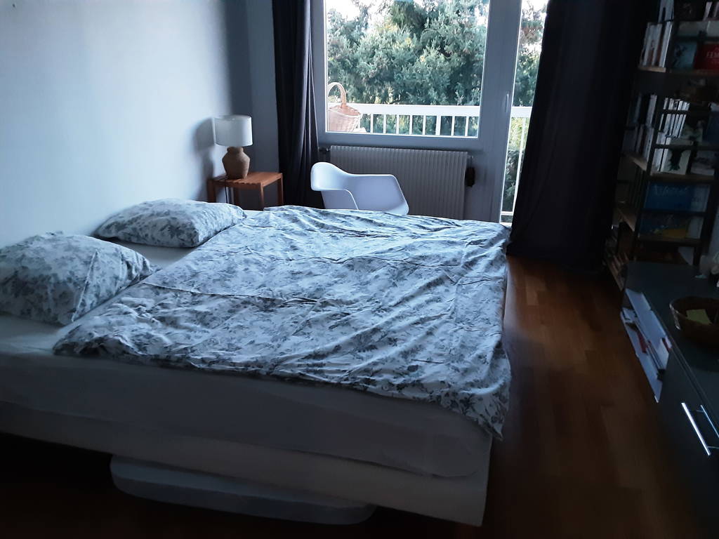 Chambre Chez L'habitant Écully 383959-1