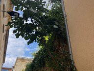 Wohngemeinschaft Bordeaux 663823-9