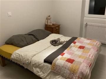 Room For Rent Belfort 261544