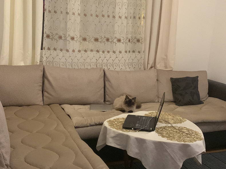 Colocation Chennevières-sur-Marne 587068-3