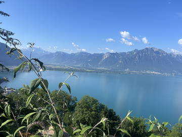 Chambre À Louer Montreux 430757