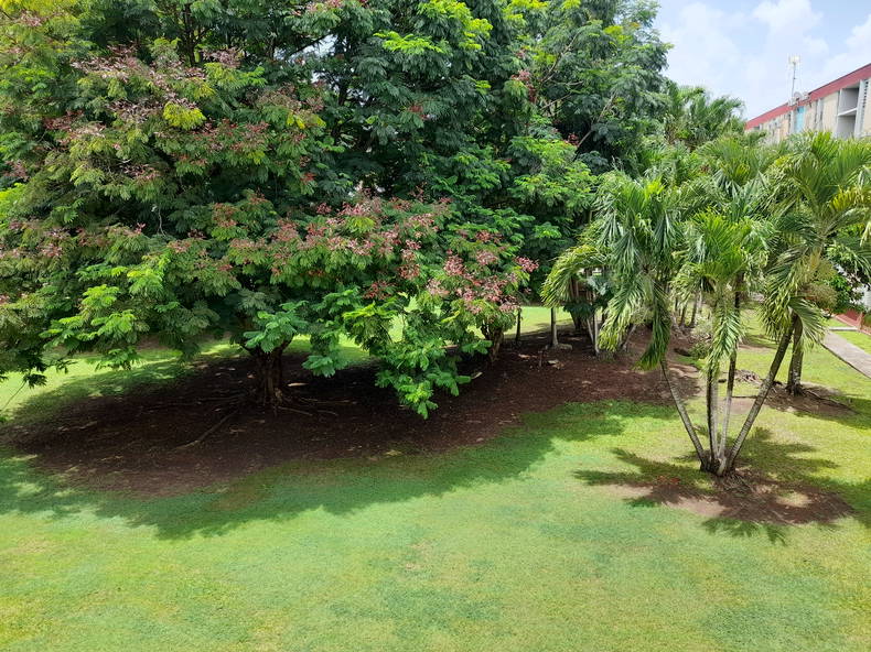 Colocación Les Abymes 514255-2