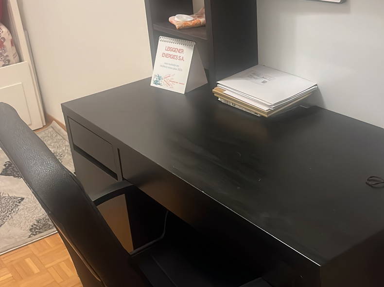 Gastfamilie Genève 364751-2