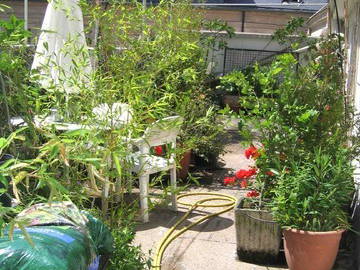 Gastfamilie Paris 7217-2