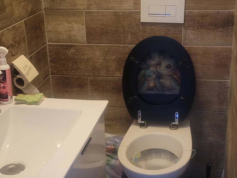 Chambre Chez L'habitant Maxéville 673077-5