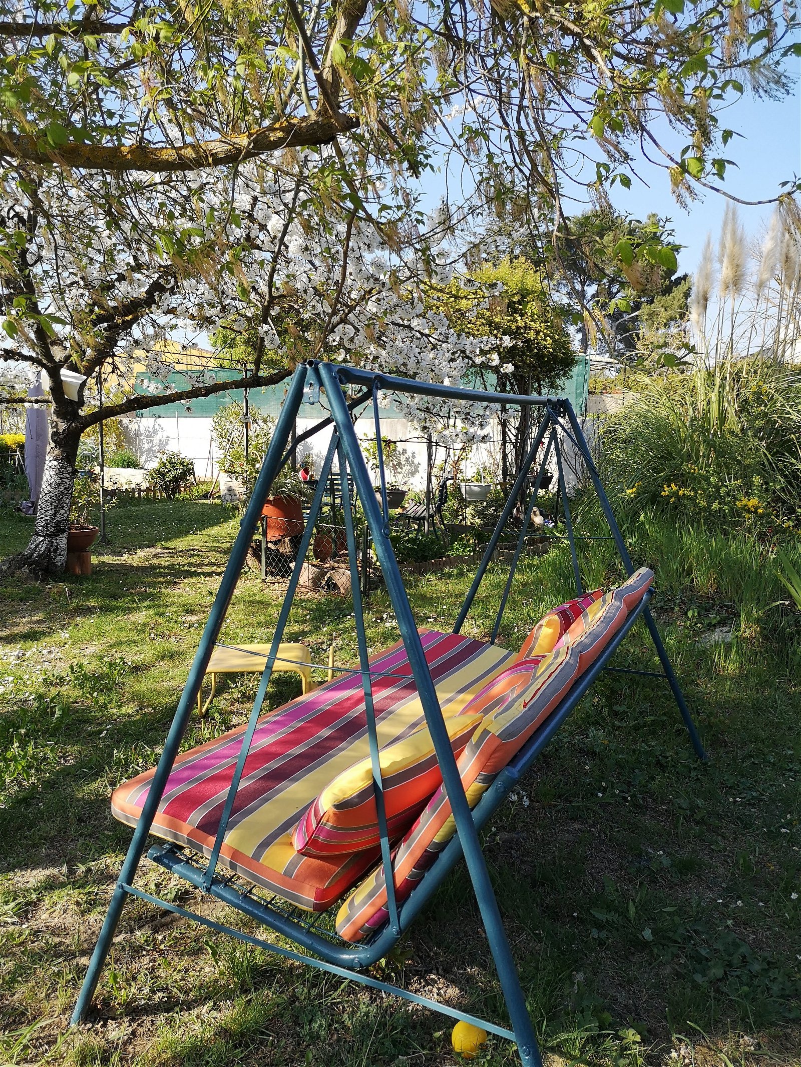 Colocation Aix-en-Provence 252590
