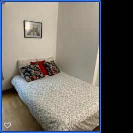 Logement Entier Le Kremlin-Bicêtre 244721