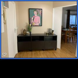 Logement Entier Le Kremlin-Bicêtre 244721