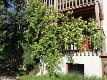 Logement Entier Cologny 208024-6