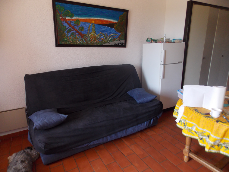 Homestay Le Lavandou 58499