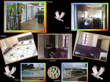 Room For Rent Fréjus 93488