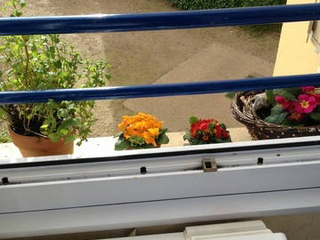 Entire Home Nantes 46820-4