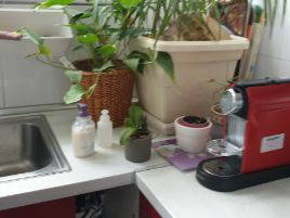 Colocation Mérignac 100479-4