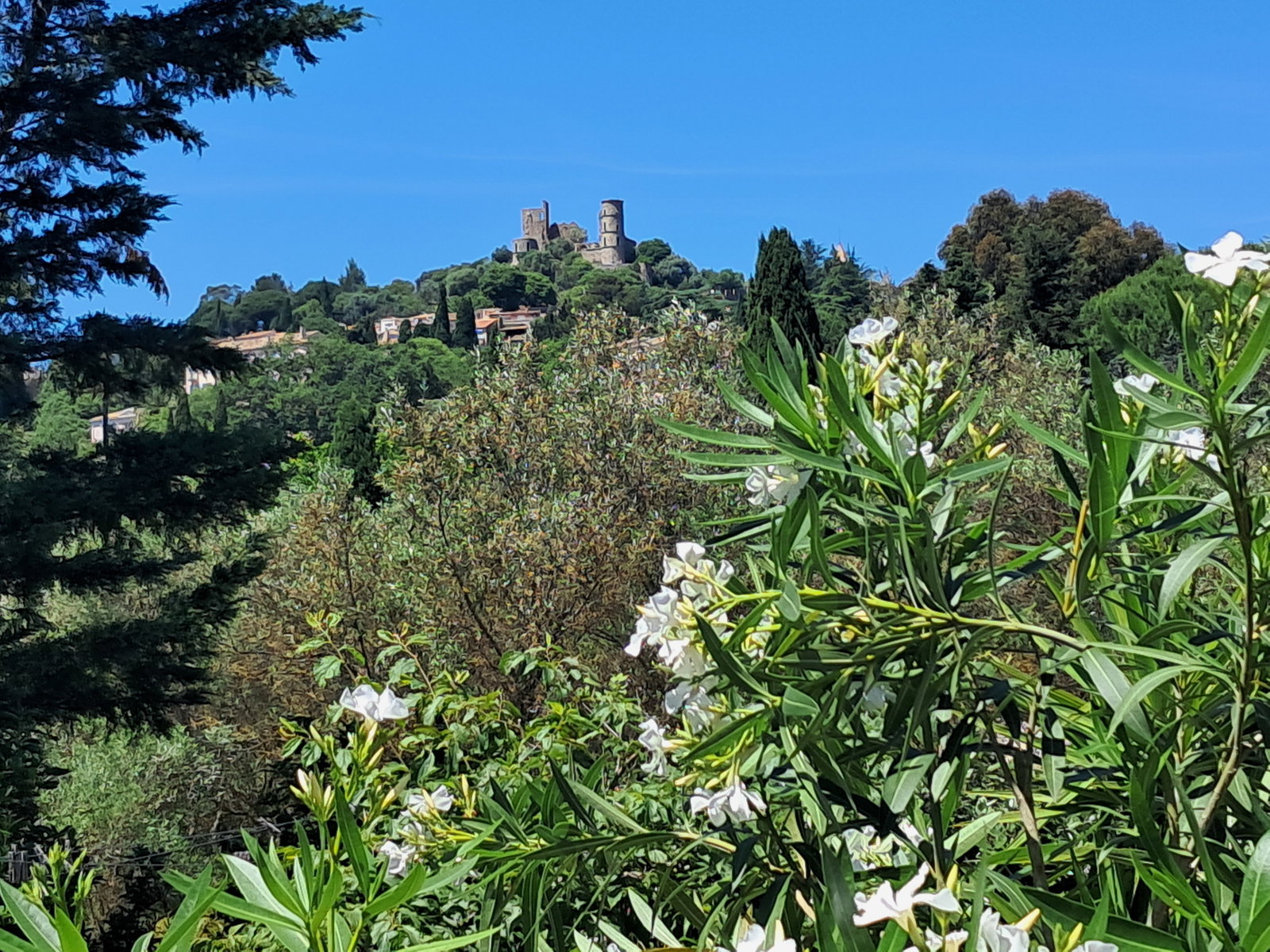 Chambre Chez L'habitant Grimaud 667145
