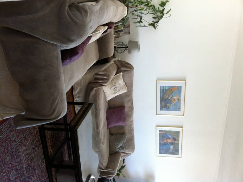 Chambre Chez L'habitant Créteil 37430-3