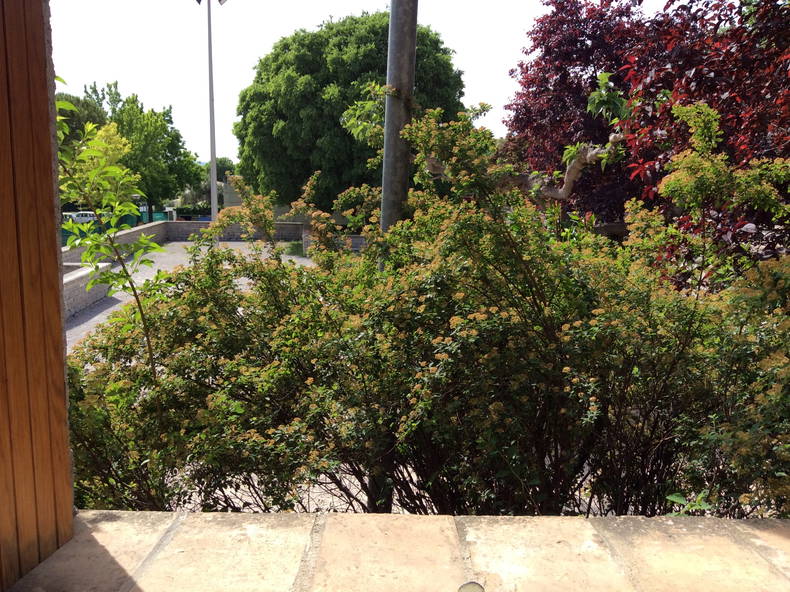 Chambre Chez L'habitant Saint-Jean-de-Védas 67824-2