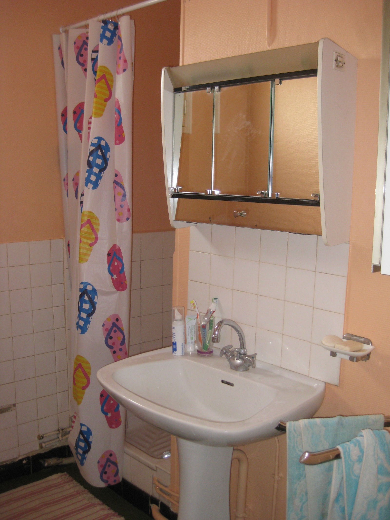 Chambre Chez L'habitant Caluire-et-Cuire 72977